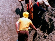Jim Climbing Gower Panama hat