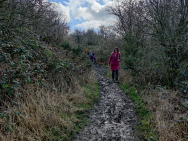 IMG_20220312_130112