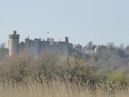 P1170296