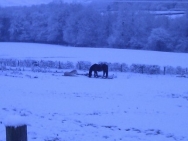 Brecon201011028