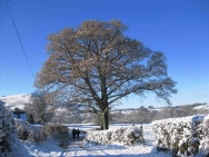 Brecon201011053