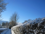 Brecon201011060