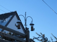 Brecon201011110