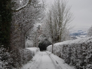 Brecon201011153