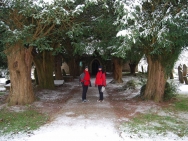 Brecon201011155
