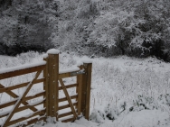 Brecon201011161