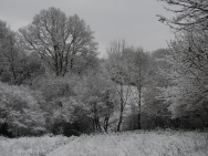Brecon201011162