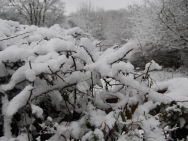 Brecon201011163