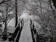 Brecon201011166