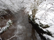 Brecon201011167
