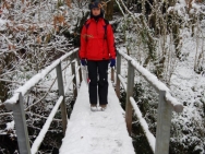 Brecon201011168