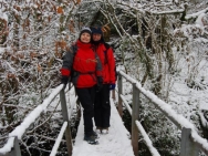 Brecon201011169