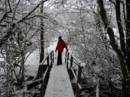 Brecon201011170
