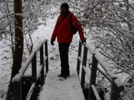 Brecon201011171