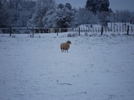Brecon201011176
