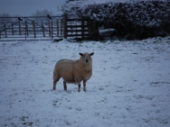 Brecon201011177