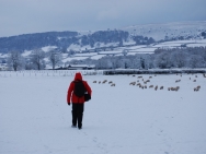 Brecon201011182