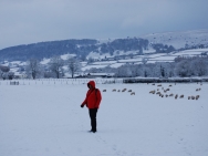 Brecon201011183