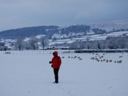 Brecon201011184