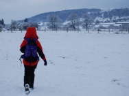Brecon201011185