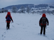 Brecon201011186