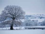 Brecon201011194