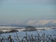 Brecon201011306