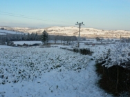 Brecon201011307