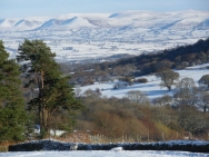 Brecon201011329