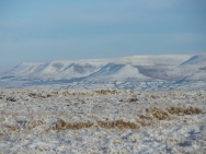 Brecon201011330