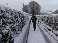 Brecon201011336
