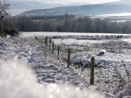 Brecon201011350