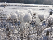 Brecon201011351