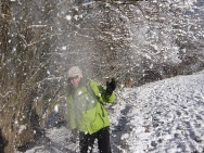 Brecon201011355