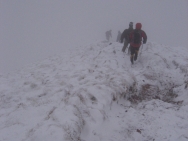 Brecon201011372