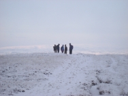 Brecon201011375