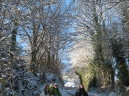 Brecon201011393