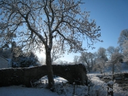 Brecon201011397