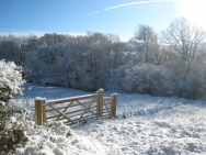 Brecon201011401