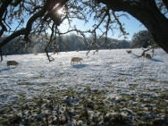 Brecon201011411