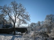 Brecon201011413