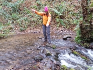 brecons nov 15 2