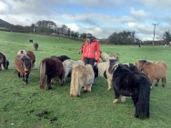 brecons nov 15 5