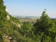 Burgundy20110407