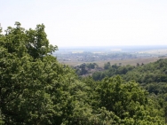 Burgundy20110410