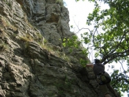 Burgundy20110414