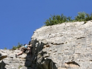 Burgundy20110417