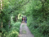 Burgundy20110425