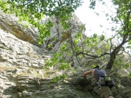 Burgundy20110434