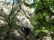 Burgundy20110437